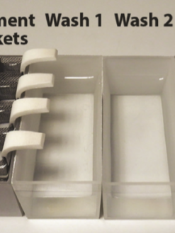 Alternative view of Monitoramento de Agressão em Zebrafish Juvenil | ZAB